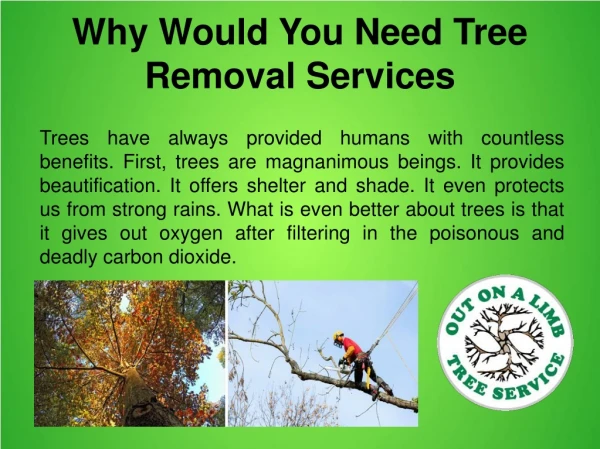 Out On A Limb Tree Service in Virginia