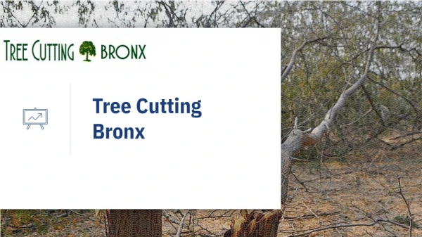 Tree Cutting BX