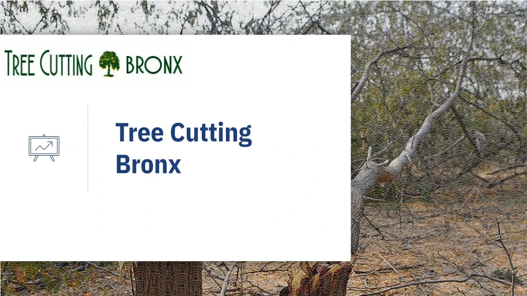 tree cutting bronx