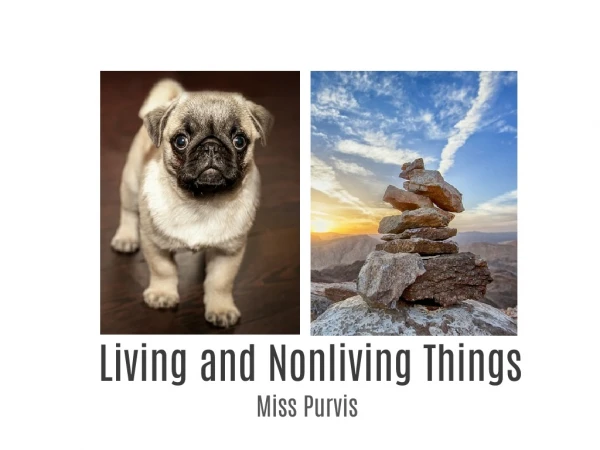 Living and Nonliving Things #4
