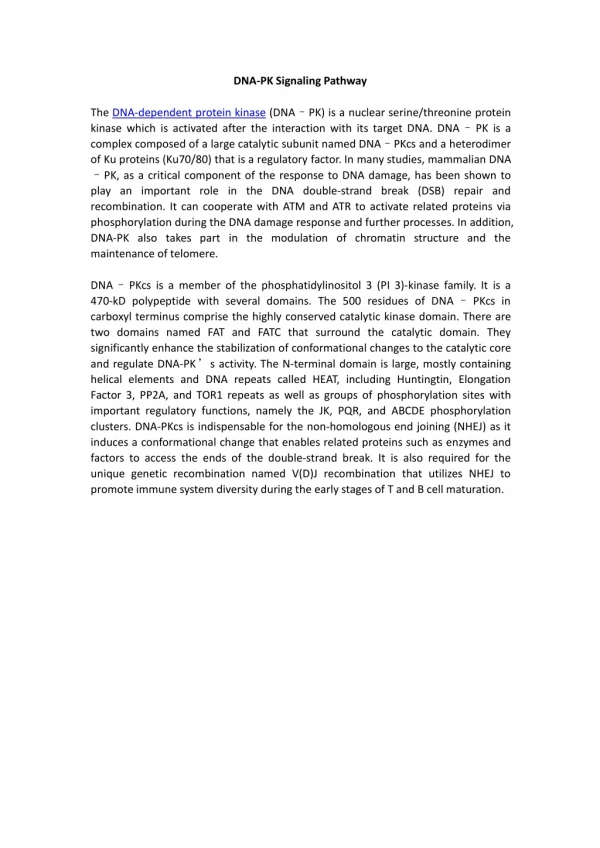 DNA-PK Signaling Pathway