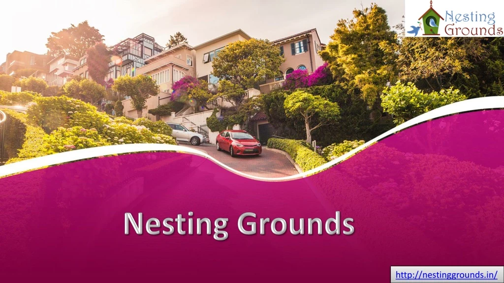 nesting grounds