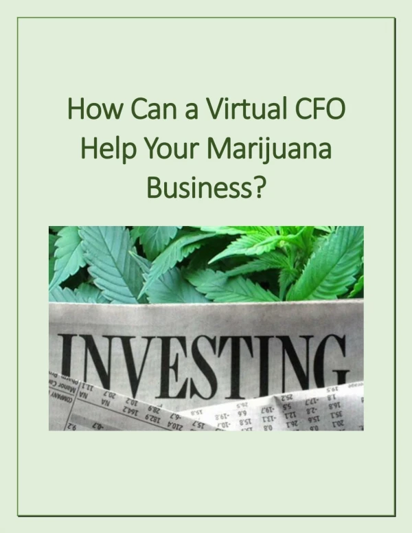 How Can a Virtual CFO Help Your Marijuana Business?