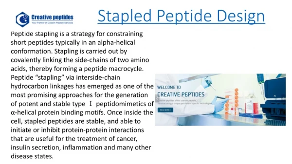 Stapled Peptide Design