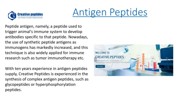 Antigen Peptides
