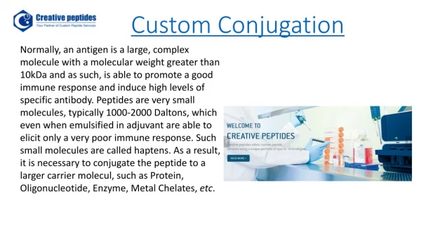 Custom Conjugation