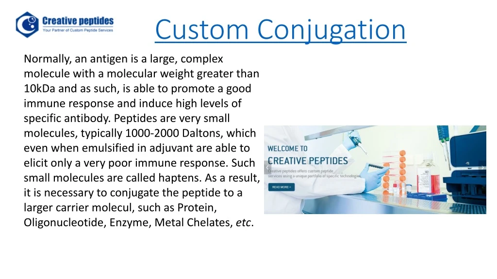 custom conjugation