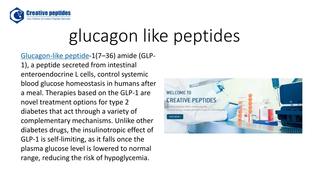 glucagon like peptides