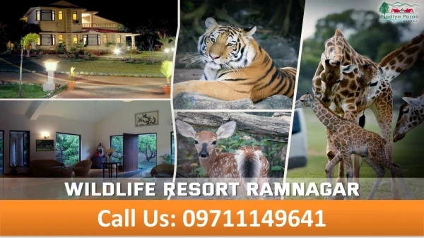 Wildlife Resort Ramnagar