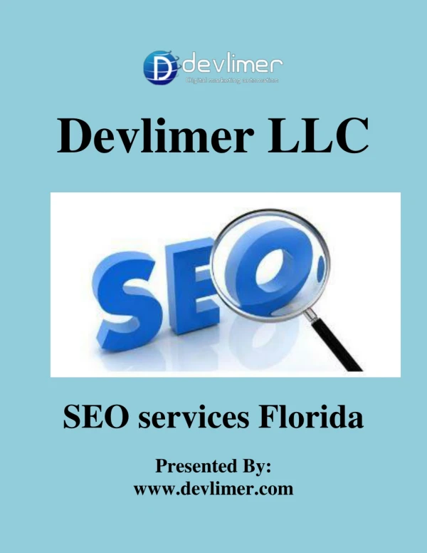 SEO services Florida | Devlimer