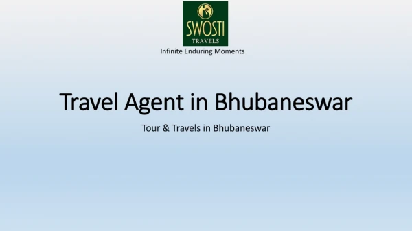 Travel Agent in Bhubaneswar