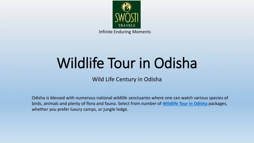 wildlife t our in odisha