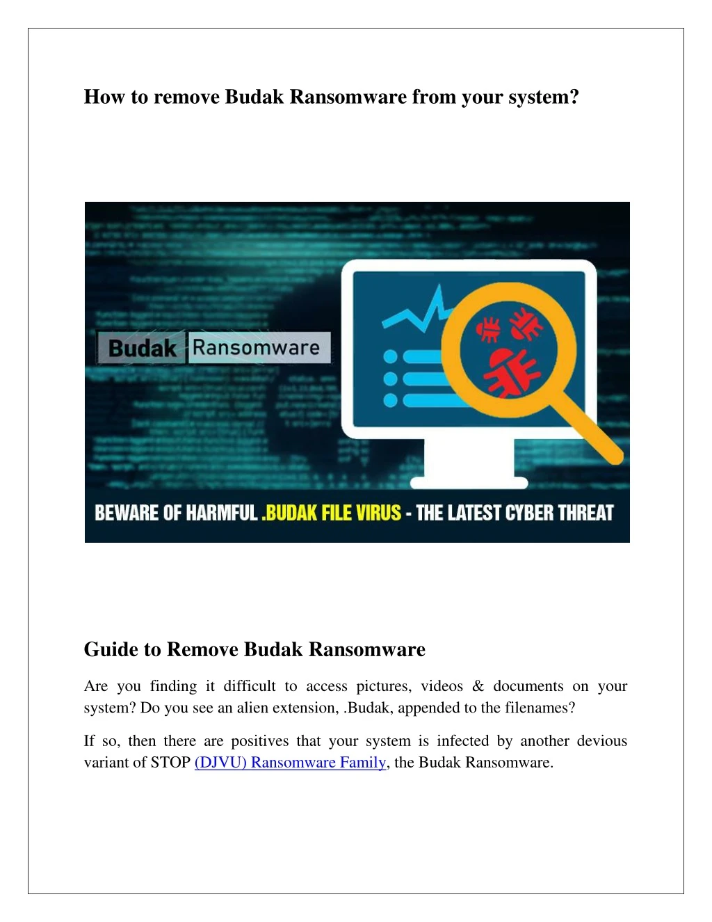 how to remove budak ransomware from your system