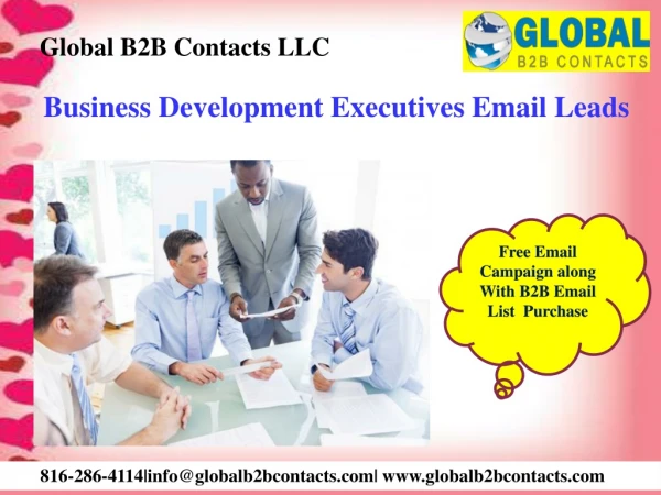 Business Development Executives Email Leads