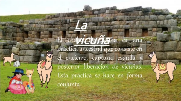 la vicuña