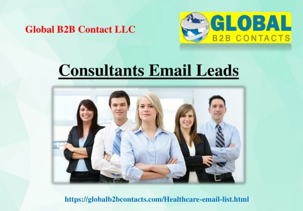 Consultants Email Leads