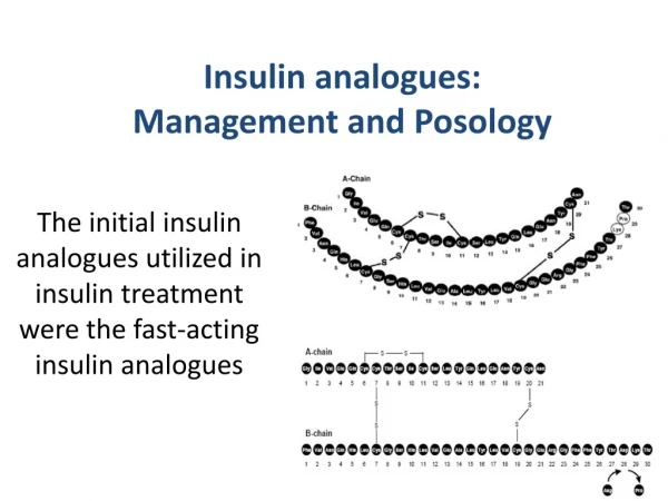 Insulin analogues: Management and Posology | Online Course | Udemy