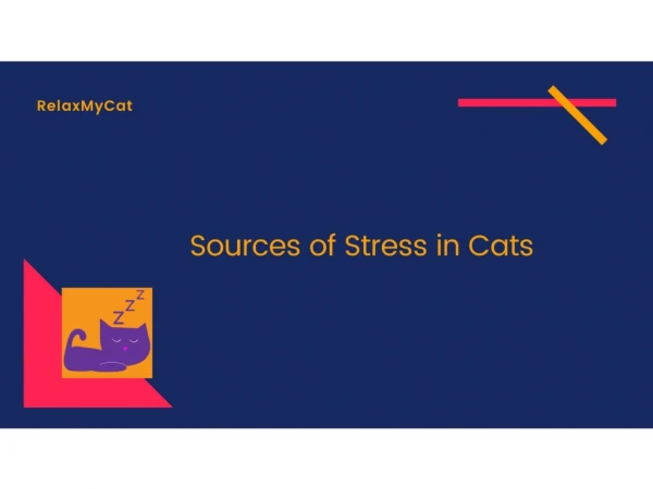 Sources of Stress in Cats
