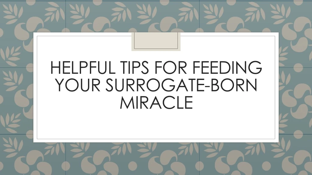 helpful tips for feeding your surrogate born miracle