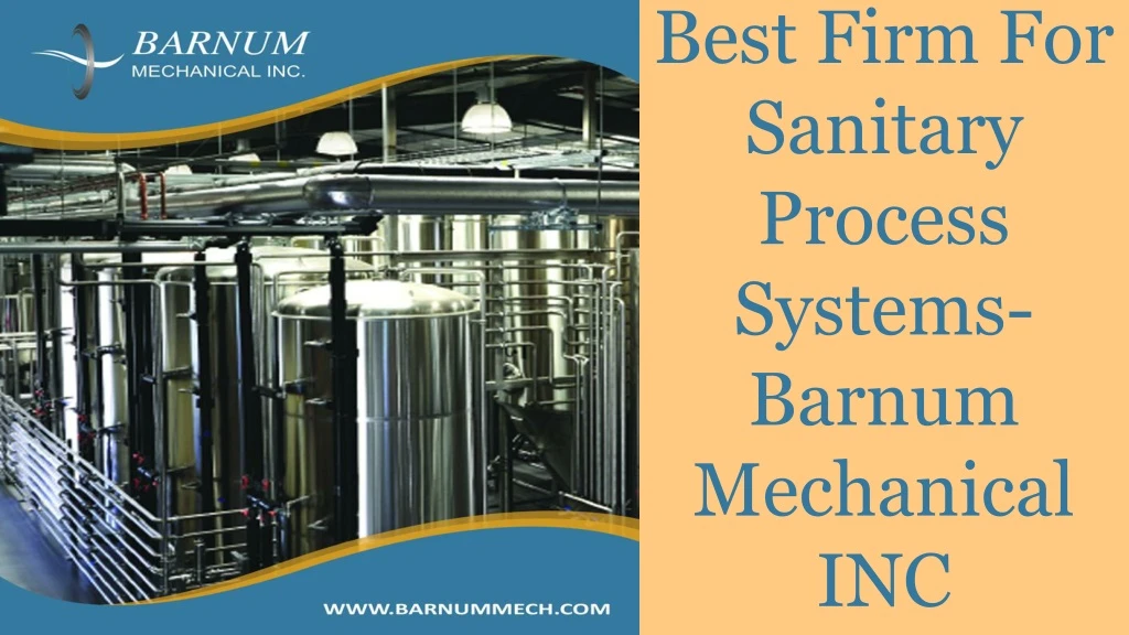 best firm for sanitary process systems barnum