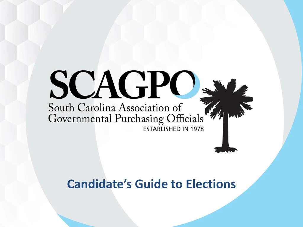 candidate s guide to elections