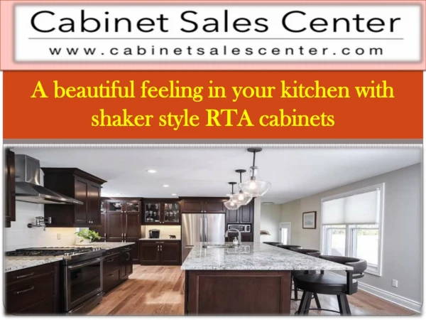 Shaker Style RTA Cabinets