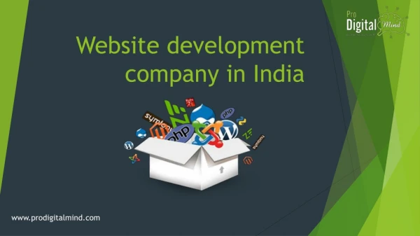Best web Development service in India