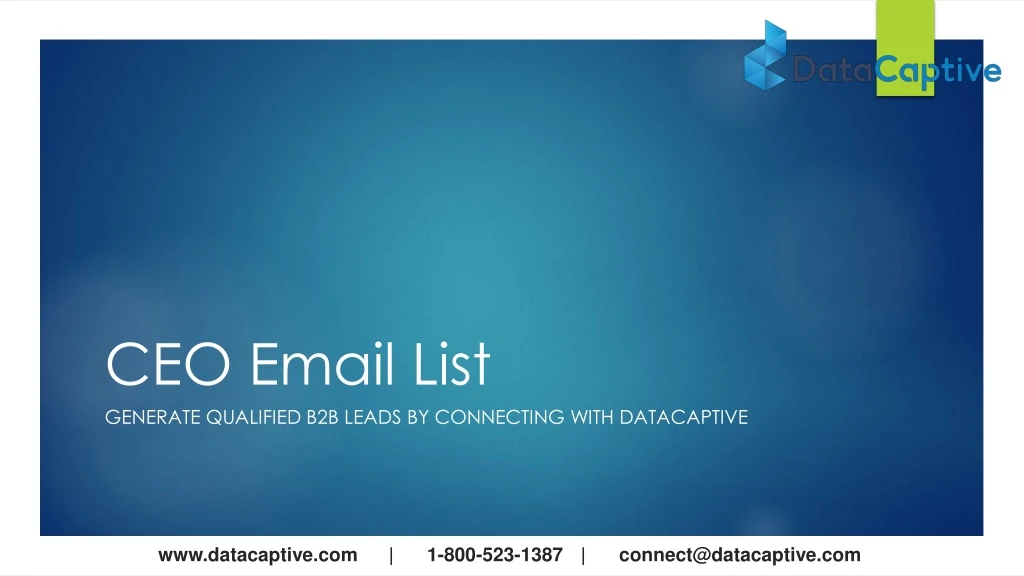ceo email list