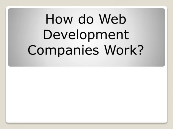How do Web Development Companies Work?