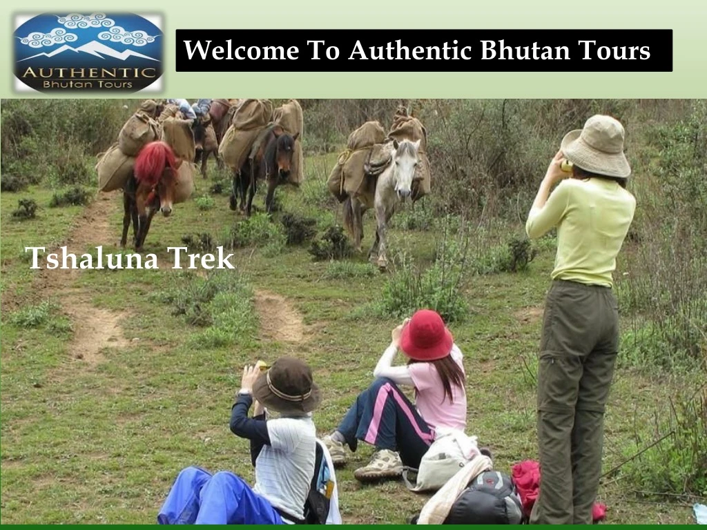 welcome to authentic bhutan tours