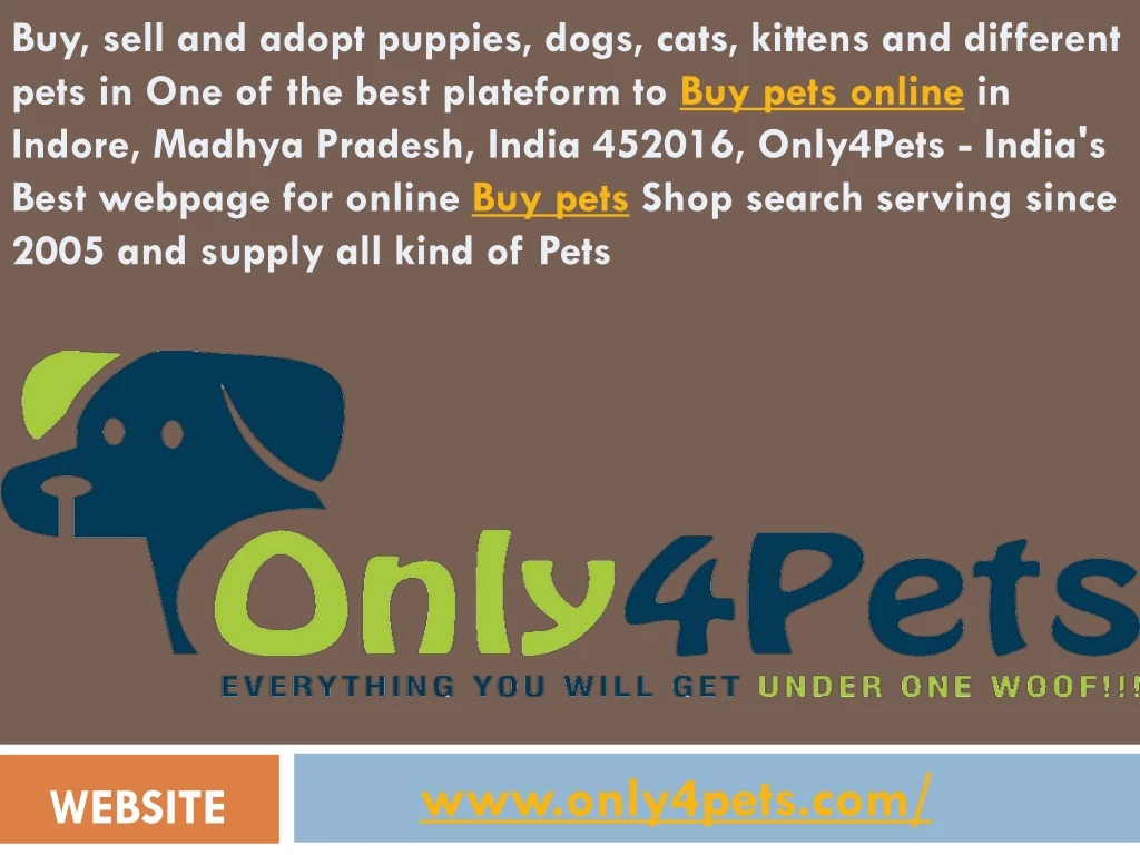 www only4pets com