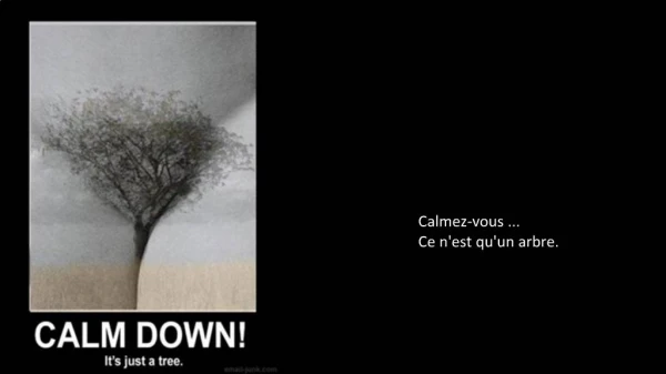 Calmez-vous ... Ce nest quun arbre.