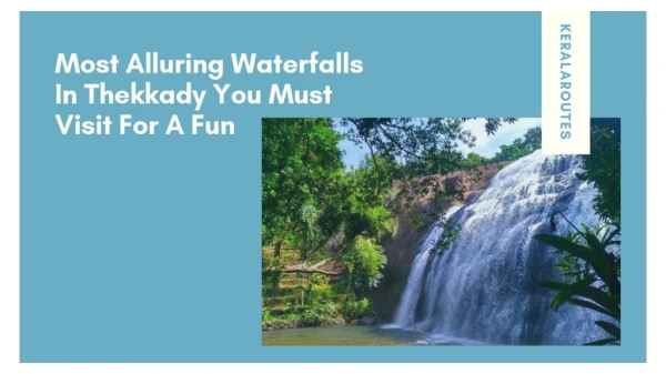 Most Alluring Waterfalls In Thekkady You Must Visit For A Fun