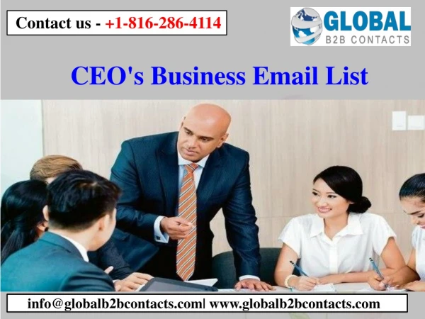 ceo s business email list