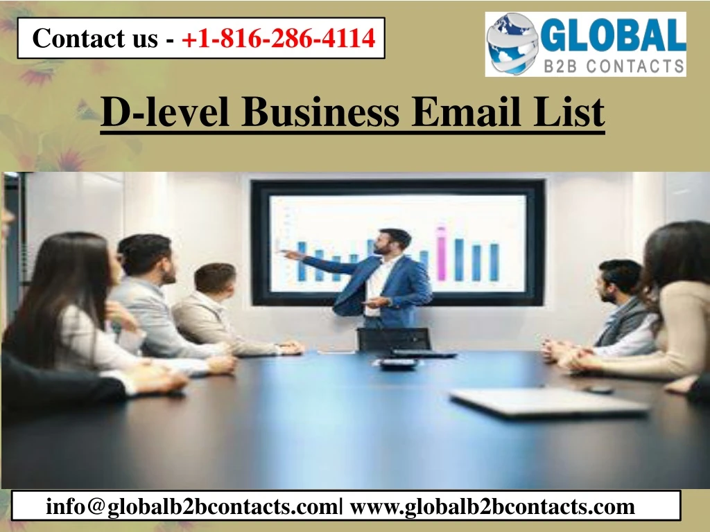 d level business email list