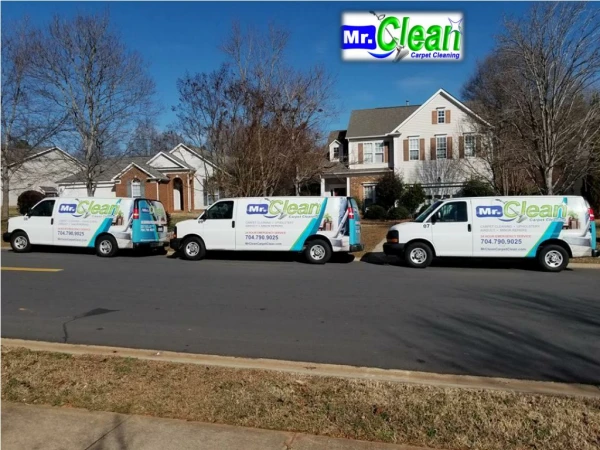 Steam Carpet Cleaning Waxhaw NC