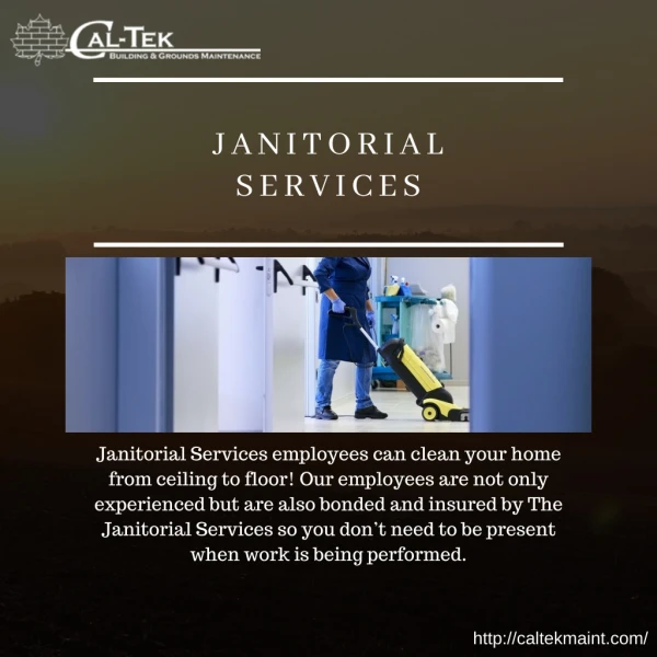 janitorial services