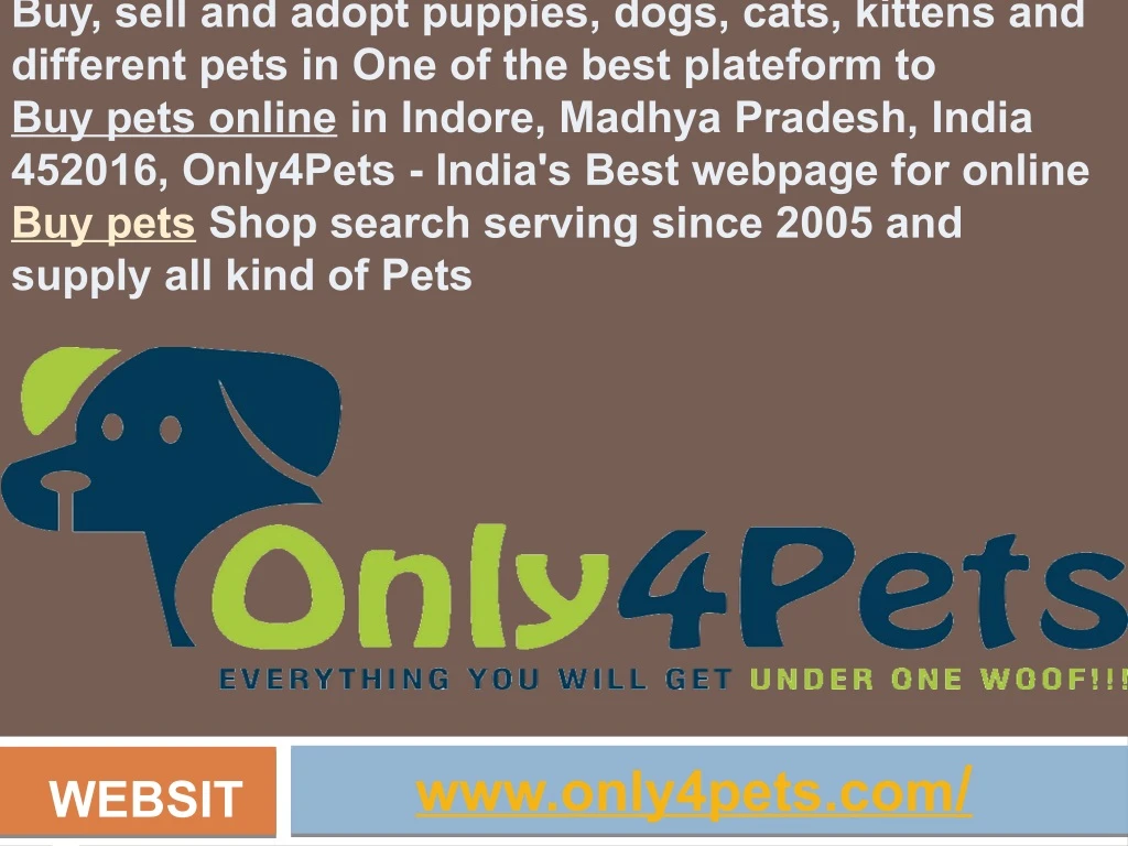buy sell and adopt puppies dogs cats kittens