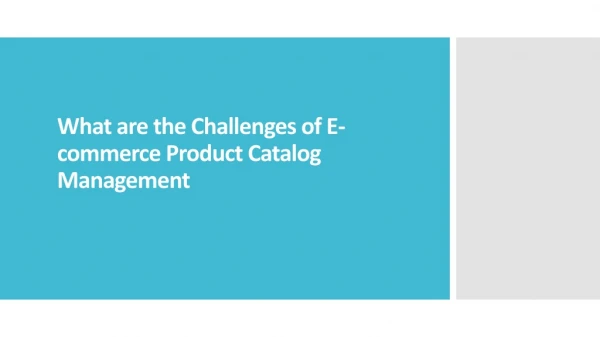 What are the Challenges of E-commerce Product Catalog Management