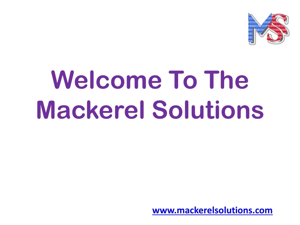 welcome to the mackerel solutions