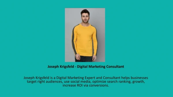 Joseph Krigsfeld Digital Marketing Consultant