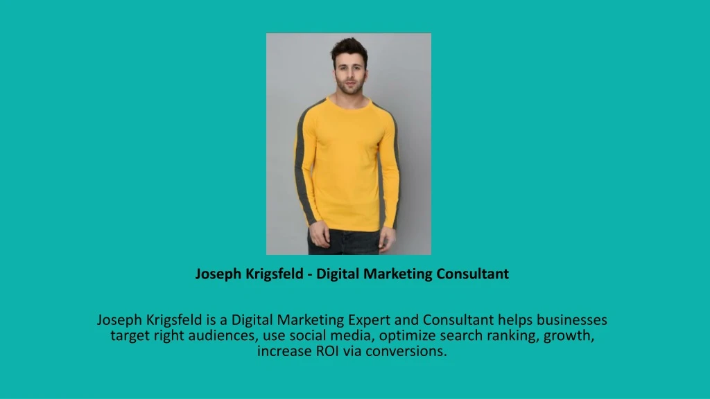 joseph krigsfeld digital marketing consultant