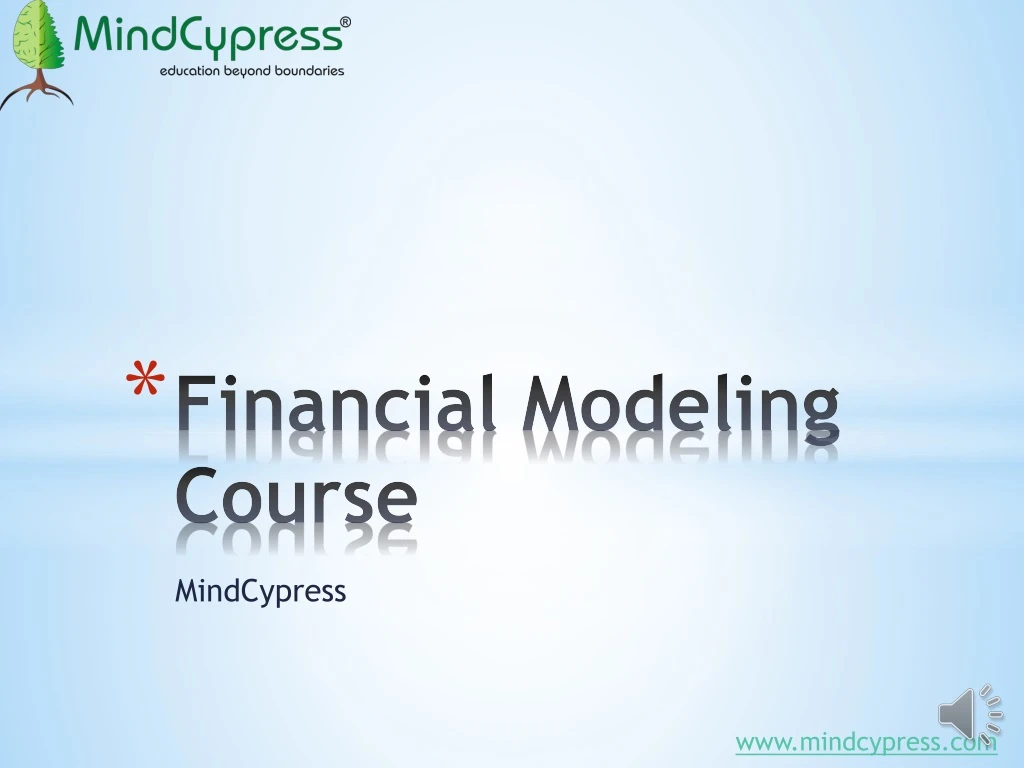 financial modeling course