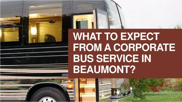 What to expect from a corporate bus service in beaumont