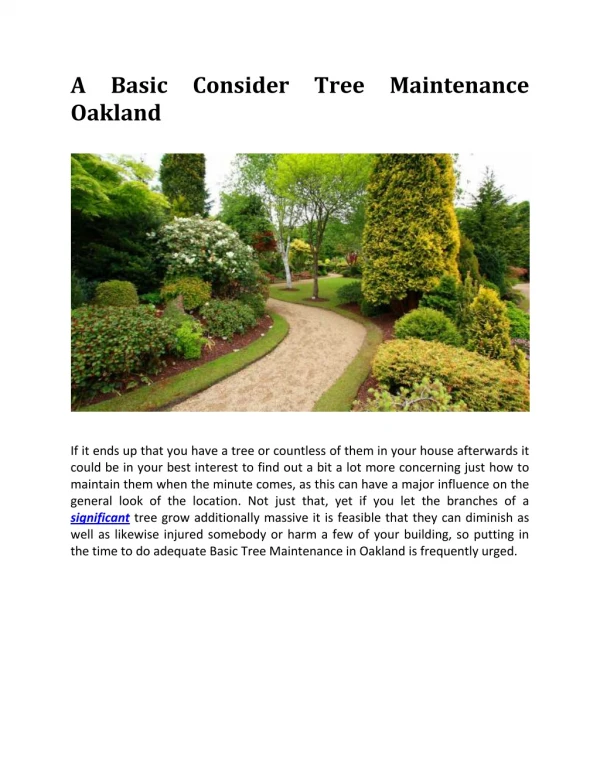 A Basic Consider Tree Maintenance Oakland