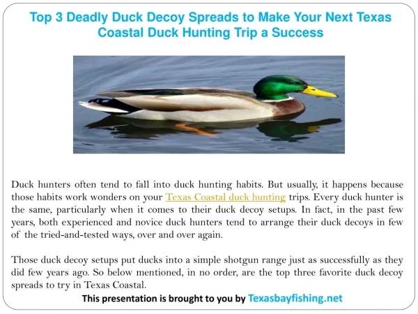 Top 3 Deadly Duck Decoy Spreads to Make Your Next Texas Coastal Duck Hunting Trip a Success