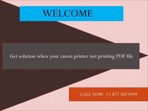 Get solution when your canon printer not printing PDF file