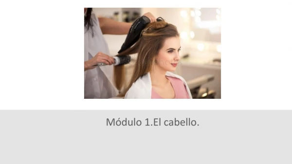 Módulo 1 . El cabello.