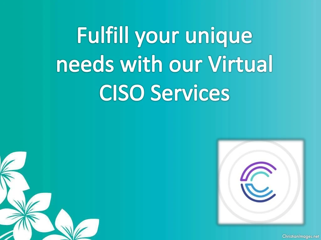 fulfill your unique needs with our virtual ciso