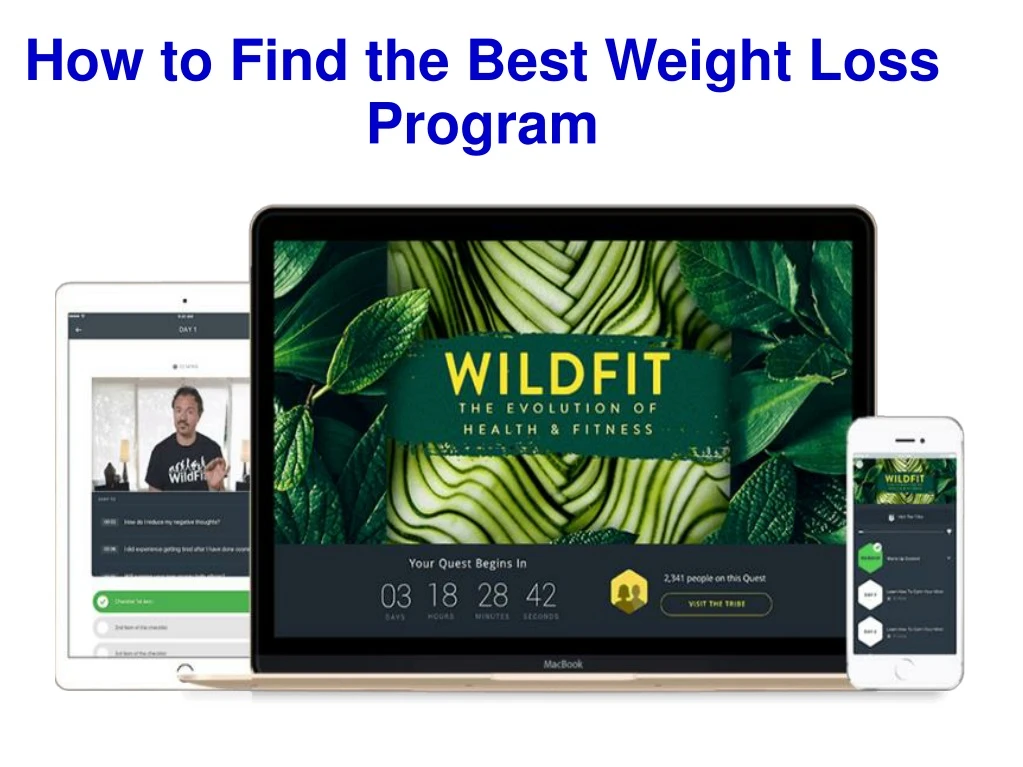 how to find the best weight loss program